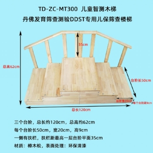 丹佛發(fā)育篩查測(cè)驗(yàn)DDST專用兒保篩查圍欄床樓梯實(shí)木環(huán)保測(cè)查小床三級(jí)木扶梯桌椅
